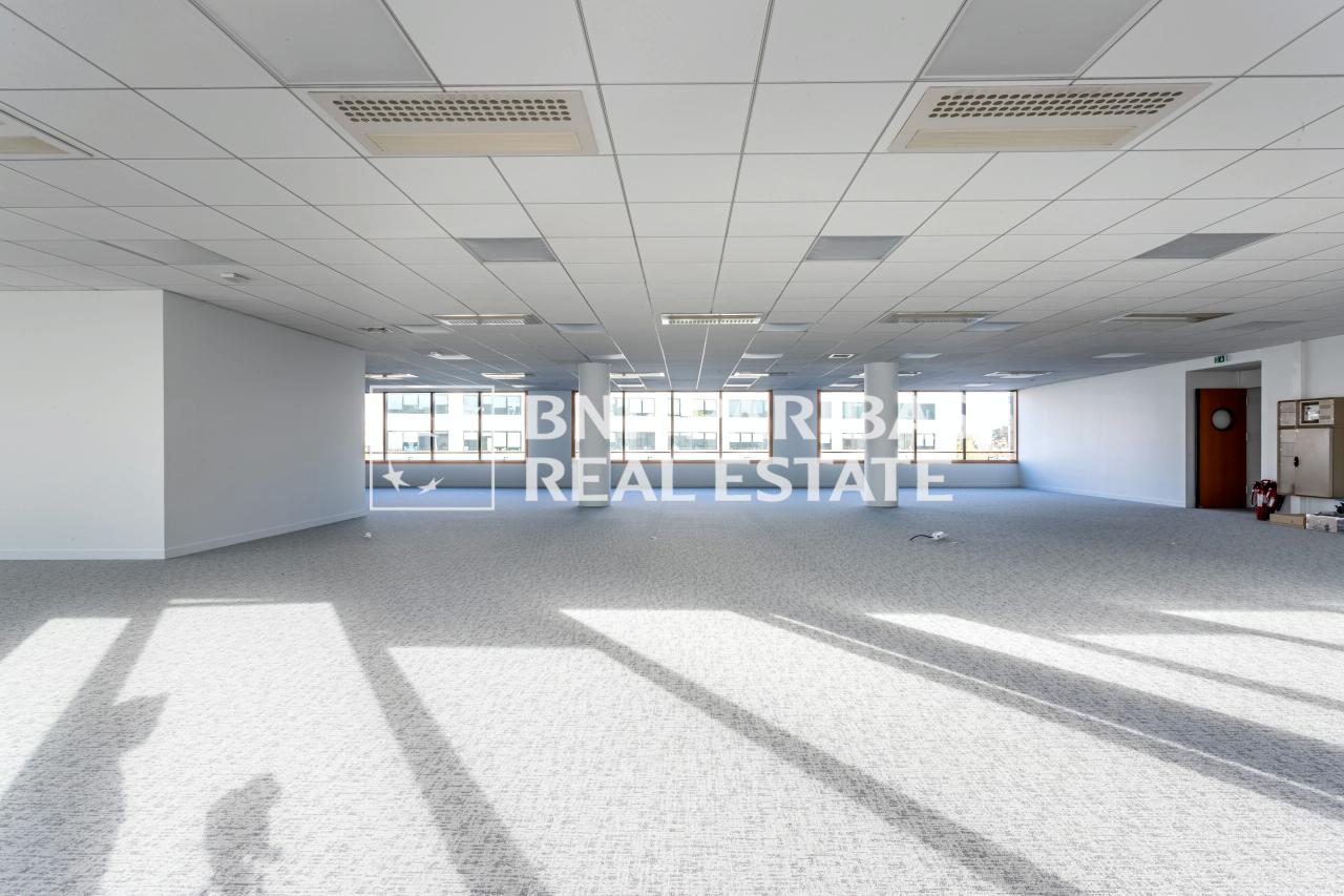 Bureau Noisy-le-Grand 1050m² Location bureau Noisy-le-Grand Seine-Saint-Denis OLBUR2106990 6